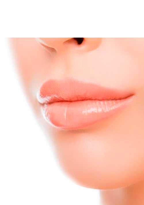 Hydragloss Lips